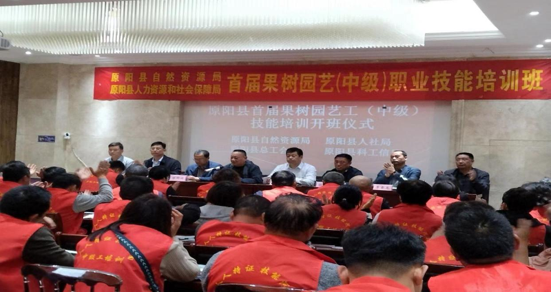 图片14